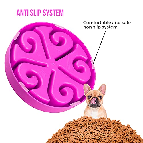 Edipets, Comedero para Perro, Antivoracidad, Alimentación Lenta, para Mascotas Pequeñas, Medianas y Grandes, Plato Interactivo Evita Ansiedad (Morado)