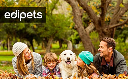 Edipets, Comedero Perro Gato y Mascotas, Bebedero Perro Gatos, Doble Plato Extraíble de Acero Inoxidable, Base de Silicona Antideslizante (Tamaño S - 300 Gr, Azul)