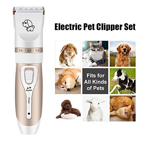 El pelo de perro mascota de recorte de bajo ruido USB recargable de carga eléctrica del perro casero Clipper Preparación del gato del cortador del removedor de la máquina Cinco De ajuste de velocidad