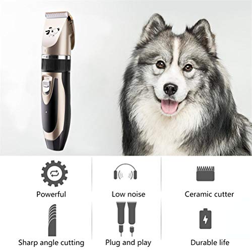 Eléctrica recargable Trimmer pelo del animal doméstico del gato del perro casero de poco ruido de las podadoras de pelo y estética máquina de afeitar de la máquina de corte fijado + peine Cabeza de po