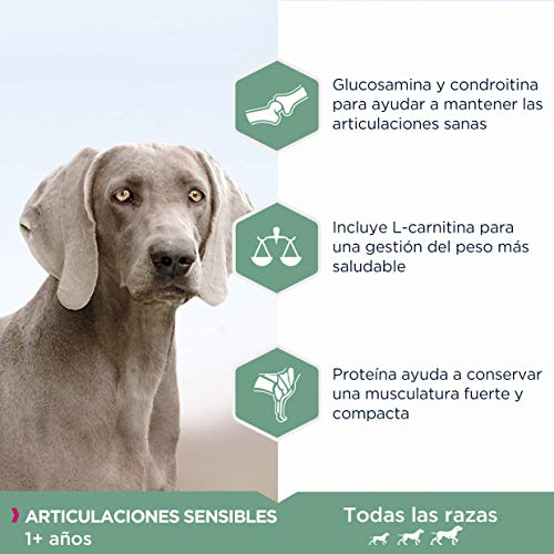 EUKANUBA Daily Care Alimento seco para perros adultos con articulaciones sensibles que sufren molestias articulares, 12 kg