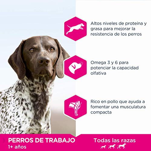 EUKANUBA Daily Care Alimento seco para perros de trabajo con altas necesidades nutricionales y energéticas (perros de trabajo, perras preñadas y lactantes), 15 kg