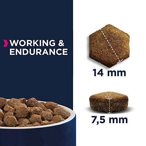 EUKANUBA Daily Care Alimento seco para perros de trabajo con altas necesidades nutricionales y energéticas (perros de trabajo, perras preñadas y lactantes), 15 kg