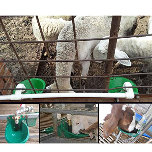 F Fityle Tazón de Agua De Plástico Automático para Ganado Vacuno, Cabra, Oveja, Cerdo, Perro, Se Adapta A La Manguera DN15 - Válvula Plástico