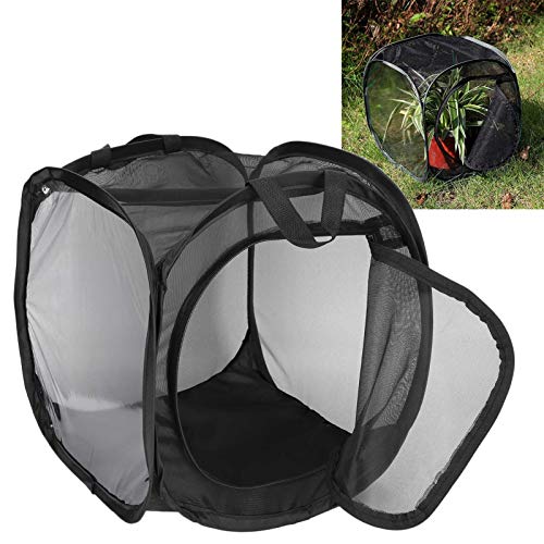 Faceuer Malla para Hábitat De Mariposas, Red Plegable para Recinto De Insectos, Casa De Mariposas, Kit De Oruga A Mariposa, Jaula De Insectos para El Exterior del Hogar, Jardín Botánico, Zoológico