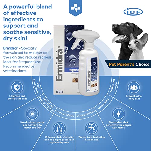 FATRO IBERICA SL 920-6732 Ermidra Spray 300Ml Fatro