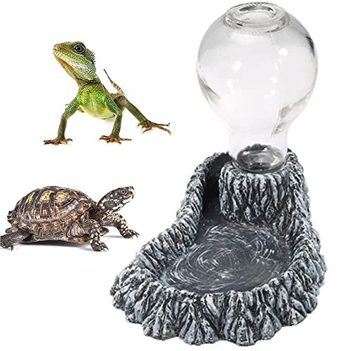 FDDD Cuenco Comida para Reptiles, Comedero para Reptiles, Automático Bebedero, Bebedero para Reptiles, Plato Resina Duradero Alimentador Lagarto Lagartijas, para Tortuga, Lagarto, Camaleón, Gecko
