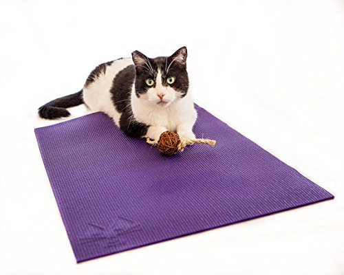 Feline Yogi Alfombrilla de Gato con Catnip Cat Toy. Rascador Gato, Cama, Actividad Alfombra de Juegos (Morado)