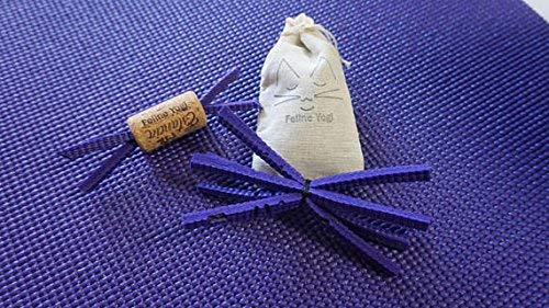 Feline Yogi - Juego de accesorios de yoga para gatos