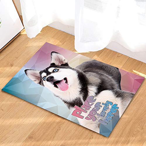 Felpudo Alfombra Para Mascotas Alfombra Para Perros Four Seasons Alfombra Mediana Regular Alfombra Para Nidos De Gatos Para Perros Alfombra Para Jaulas Alfombra Para Hamacas A Prueba De Humedad Tapi