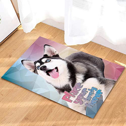 Felpudo Alfombra Para Mascotas Alfombra Para Perros Four Seasons Alfombra Mediana Regular Alfombra Para Nidos De Gatos Para Perros Alfombra Para Jaulas Alfombra Para Hamacas A Prueba De Humedad Tapi
