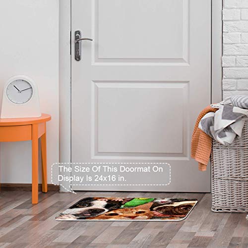 Felpudo para interior, alfombrilla para puerta delantera y trasera, antideslizante, alfombrilla interior para entrada, lavable a máquina, perros, gatos, periquitos, ratas