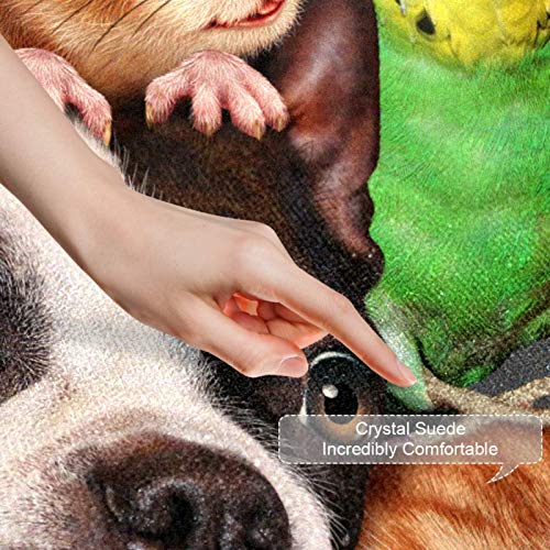 Felpudo para interior, alfombrilla para puerta delantera y trasera, antideslizante, alfombrilla interior para entrada, lavable a máquina, perros, gatos, periquitos, ratas