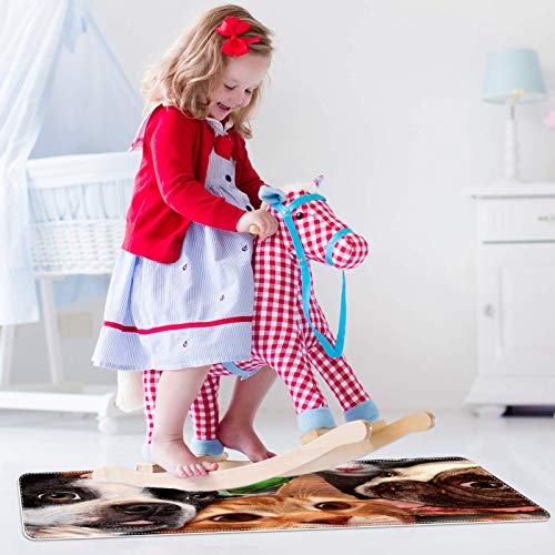 Felpudo para interior, alfombrilla para puerta delantera y trasera, antideslizante, alfombrilla interior para entrada, lavable a máquina, perros, gatos, periquitos, ratas