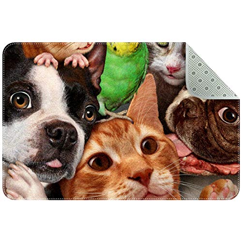 Felpudo para interior, alfombrilla para puerta delantera y trasera, antideslizante, alfombrilla interior para entrada, lavable a máquina, perros, gatos, periquitos, ratas