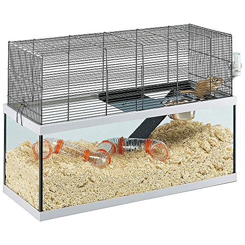 Feplast Jaula de Vidrio para Jerbos Gabry 80, Estructura de Dos Pisos, Accesorios Incluidos, 79 x 30.5 x 51.4 Cm, Negro