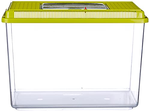 Ferplast Acuario de plástico para Peces Geo Maxi Tanque de 21 L, Acuario terrario para Insectos y Tortugas, Plástico, Rejillas de ventilación, 41,3 x 26 x h 29,8 cm Verde