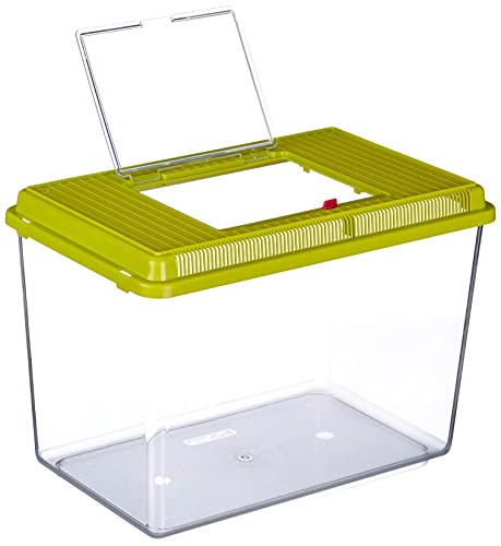 Ferplast Acuario de plástico para Peces Geo Maxi Tanque de 21 L, Acuario terrario para Insectos y Tortugas, Plástico, Rejillas de ventilación, 41,3 x 26 x h 29,8 cm Verde