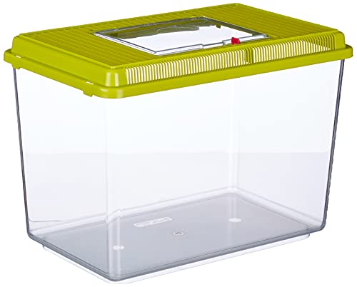 Ferplast Acuario de plástico para Peces Geo Maxi Tanque de 21 L, Acuario terrario para Insectos y Tortugas, Plástico, Rejillas de ventilación, 41,3 x 26 x h 29,8 cm Verde