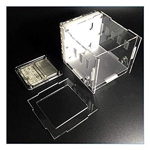FGUD Mini acryl Hormiga Hormiga Hormiga Hormiguero Hormiguero DreamWorks Hormiga Granja Insecto Villa Bricolaje Juguetes educativos para niños hogar Cuidado de Mascotas y Aprendizaje de la Naturaleza