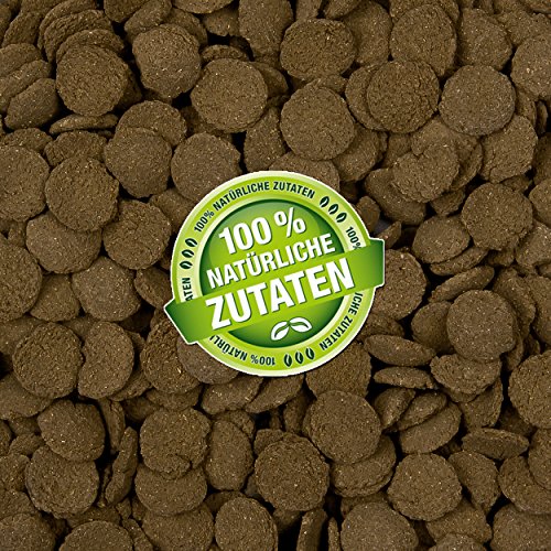 Fichas de cachorro de Teichpoint (alimento principal para todos los peces de suelo y peces ornamentales espantosos en forma de arroz), alimento para cachorros en bolsa de 1 litro