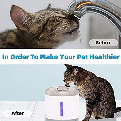 Filtros Fuente Gatos, Arespark 6 Piezas Filters para Fuente para Gatos 3L, Filtros de Repuesto de Fuentes de Agua Gato Perro, Filtros de Repuesto con Resina y Carbón Activo