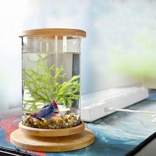 Fish Bowls Mini Tanque de pescado de vidrio Base de bambú Decoración del tanque de pescado Decoración de rotación Decoración de pescado Botella ecológica Acuario Acuario Pescados y Acuarios