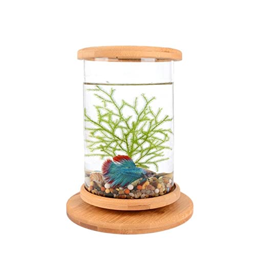 Fish Bowls Mini Tanque de pescado de vidrio Base de bambú Decoración del tanque de pescado Decoración de rotación Decoración de pescado Botella ecológica Acuario Acuario Pescados y Acuarios