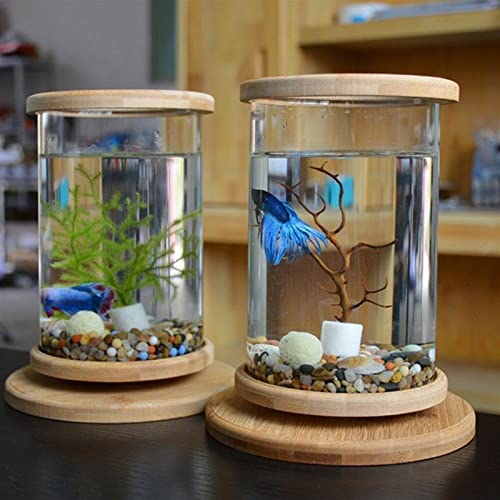 Fish Bowls Mini Tanque de pescado de vidrio Base de bambú Decoración del tanque de pescado Decoración de rotación Decoración de pescado Botella ecológica Acuario Acuario Pescados y Acuarios