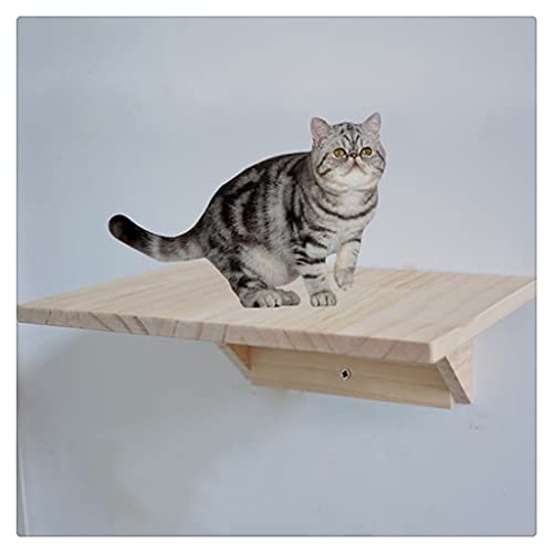 Flashing Gatos montados en la Pared Marco de Escalada Gatos Árbol Madera Maciza Gatos Plataforma de Salto Pared DIY Muebles para Mascotas Gatito Trampolín Varios tamaños (Size : 20cm x 20cm)