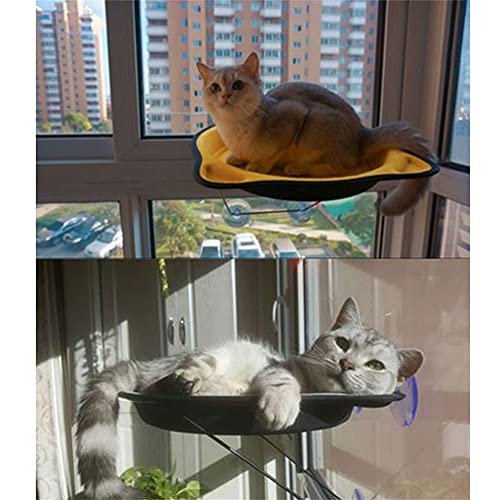 Flashing Ventana Gatos Cama Tumbona Ventana Percha diámetro 37 cm Dibujos Animados Gatos Hamaca Camas para Mascotas para Gatos Gatito (Color : E)