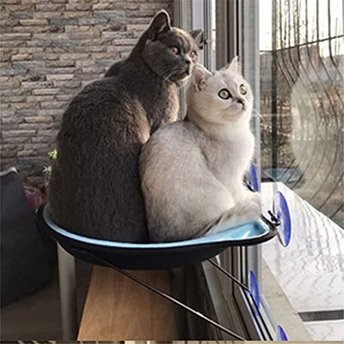 Flashing Ventana Gatos Cama Tumbona Ventana Percha diámetro 37 cm Dibujos Animados Gatos Hamaca Camas para Mascotas para Gatos Gatito (Color : E)