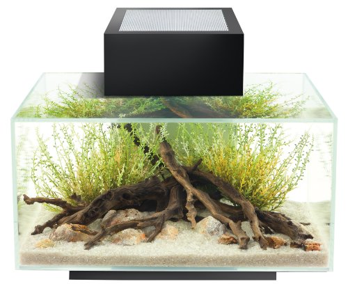 Fluval Acuario Edge