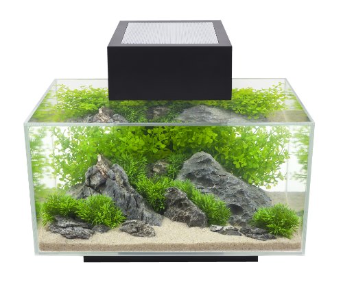 Fluval Acuario Edge