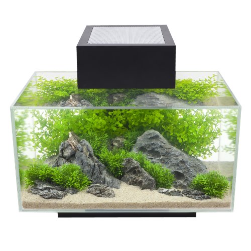 Fluval Acuario Edge