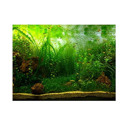 Fondo de acuario Estilo de hierba de agua Efecto 3D Cartel adhesivo de PVC Decoraciones para peceras Imágenes Papel de decoración(76 * 46cm)