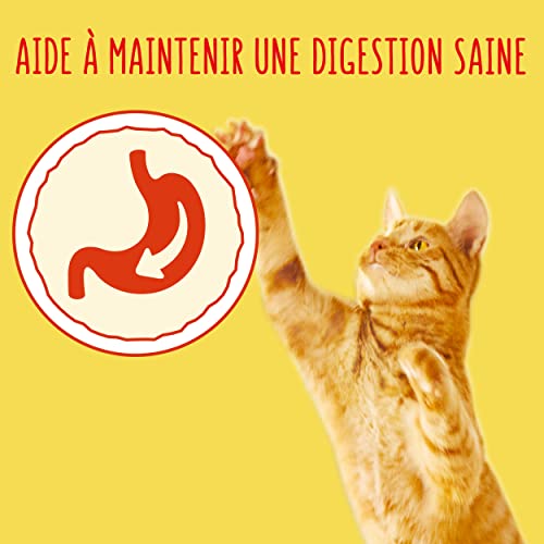 Friskies - Comida para Gato Adulto, sabor pollo y verduras, 4 kg, Paquete de 4