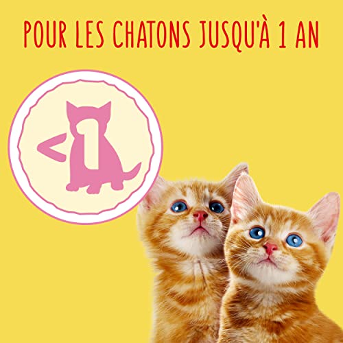 Friskies Comida para Gato característica del Animal a Escoger