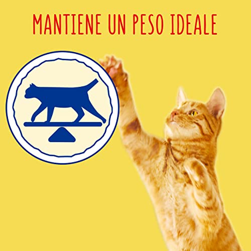 Friskies pienso para Gatos sterilizzati, con Pavo y Verduras aggiunte, 375 g – Paquete de 12 Unidades