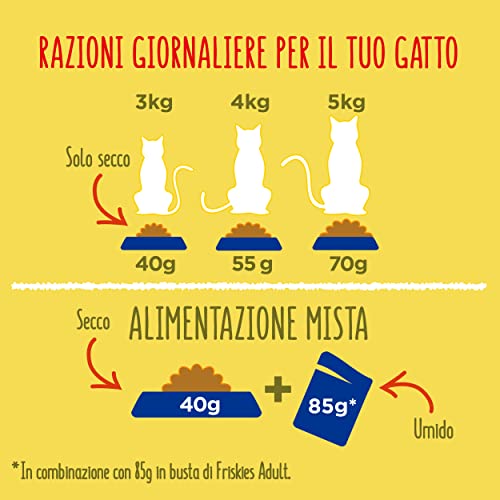 Friskies pienso para Gatos sterilizzati, con Pavo y Verduras aggiunte, 375 g – Paquete de 12 Unidades