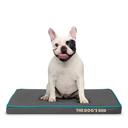 Funda exterior de repuesto (solo funda exterior, sin cama) para cama de perro, tela Oxford de calidad lavable, pequeña (gris con tubería azul)