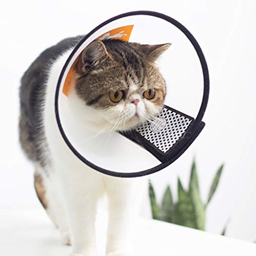 FURUIWUFENG Abrigo de Perro Recuperación Collar del Gato Cono Suave del Animal doméstico Collarín Cono Gato algodón Cierres Ajustables Collar for Gato y Perrito Ropa para Mascotas (Size : L)