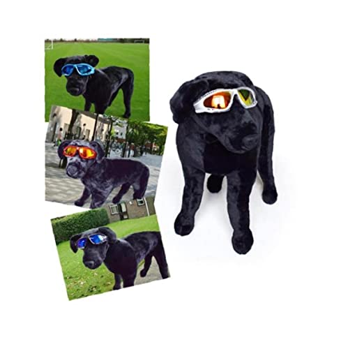 Gafas para perros de mascotas Gafas anti- niebla a prueba de viento Eyewear Dog Gafas de sol Suministros para mascotas para perros grandes Protección UV Utilidad roja