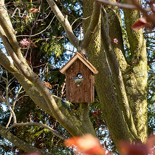 Gardigo - Nido para Pájaros, Casa de Madera para Pájaro, Casita Decoración de Jardín, Terraza o Balcón