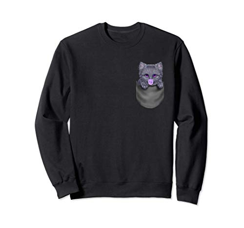 Gato azul ruso con chupete en el bolsillo Sudadera