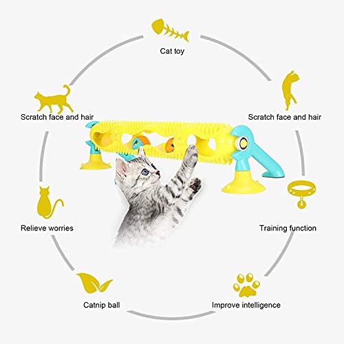 GazyShop- Juguetes gatos，Juguete de Pista de Rompecabezas para Gatos，Rueda de Ejercicio para Gatos, Pista de rascado para Gatos, Juguetes orgánicos para rascar Gatos con Bola de Hierba gatera