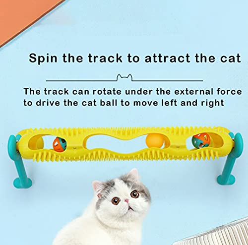 GazyShop- Juguetes gatos，Juguete de Pista de Rompecabezas para Gatos，Rueda de Ejercicio para Gatos, Pista de rascado para Gatos, Juguetes orgánicos para rascar Gatos con Bola de Hierba gatera