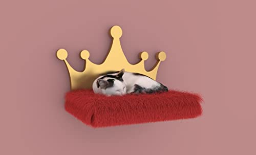Generiq Estante para gatos con almohadilla de espuma viscoelástica para gatos, muebles elegantes para gatos, gatitos, gatitos, cama para descansar, escalar, jugar para felinos
