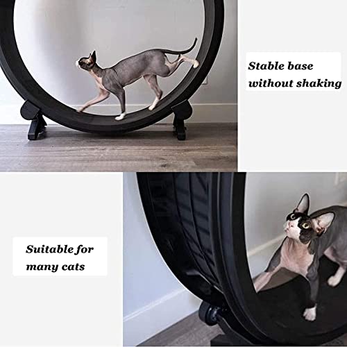 ghjdm Cinta De Correr para Gatos, Marco De Escalada para Gatos, Rueda De Ejercicio para Gatos, Máquina Silenciosa para Gatos, Juguete Deportivo para Bajar De Peso para Gatos Pequeños Y Medianos 220Ib