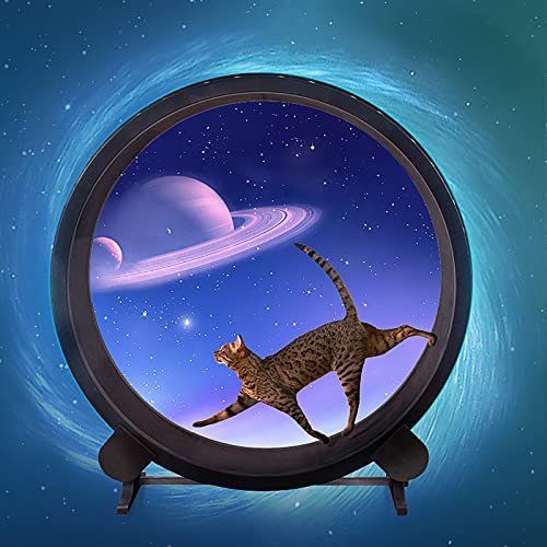 ghjdm Cinta De Correr para Gatos, Marco De Escalada para Gatos, Rueda De Ejercicio para Gatos, Máquina Silenciosa para Gatos, Juguete Deportivo para Bajar De Peso para Gatos Pequeños Y Medianos 220Ib
